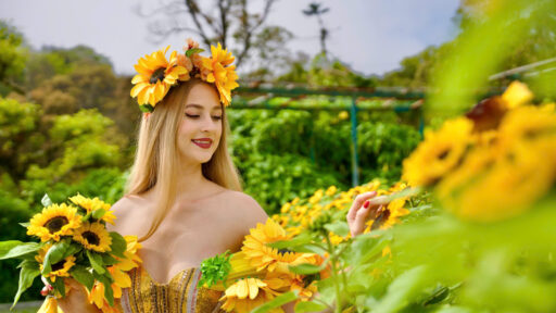 Lạc bước giữa “biển vàng” rực rỡ tại Lễ hội Hoa Mặt trời trên đỉnh Bà Nà