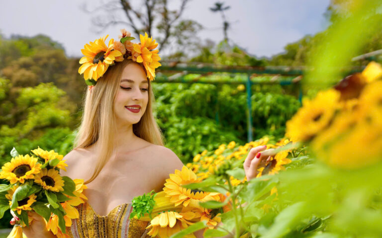 Lạc bước giữa “biển vàng” rực rỡ tại Lễ hội Hoa Mặt trời trên đỉnh Bà Nà
