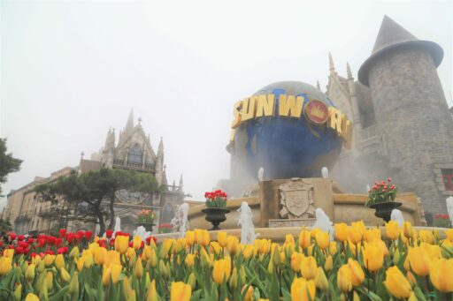 Ba trải nghiệm mới mẻ, cực chất lần đầu tiên xuất hiện tại thành phố sông Hàn