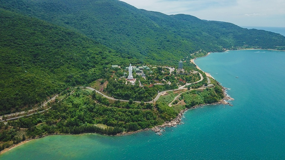 ban-dao-son-tra-thien-duong-xanh-giua-long-thanh-pho ban-dao-son-tra-thien-duong-xanh-giua-long-thanh-pho 