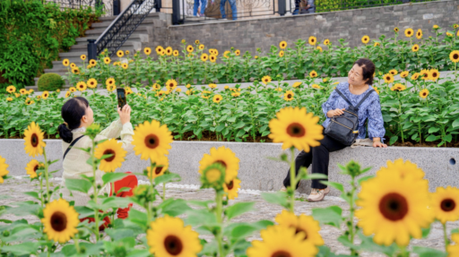 Ba Na Hills weather: Everything you need to know before visiting